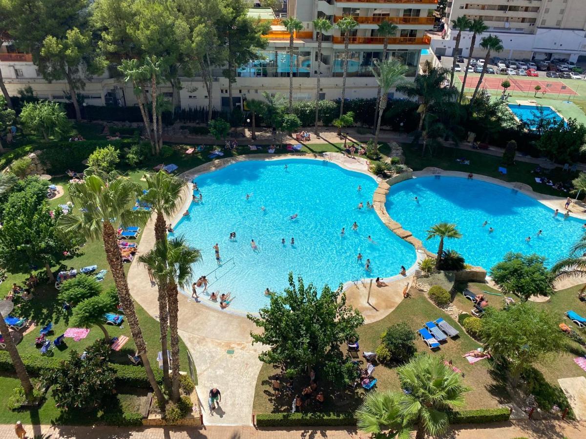 Gemelos 22-2-24 Benidorm Extérieur photo