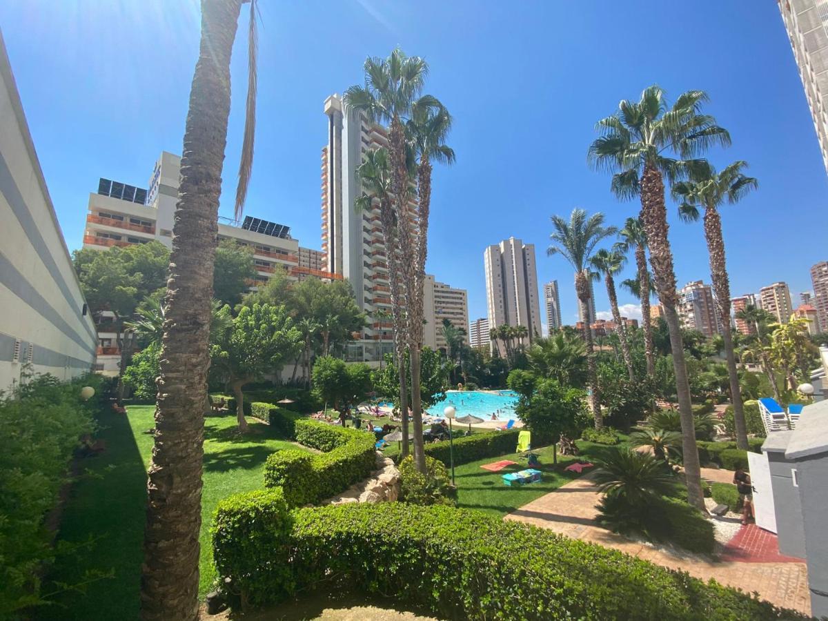 Gemelos 22-2-24 Benidorm Extérieur photo